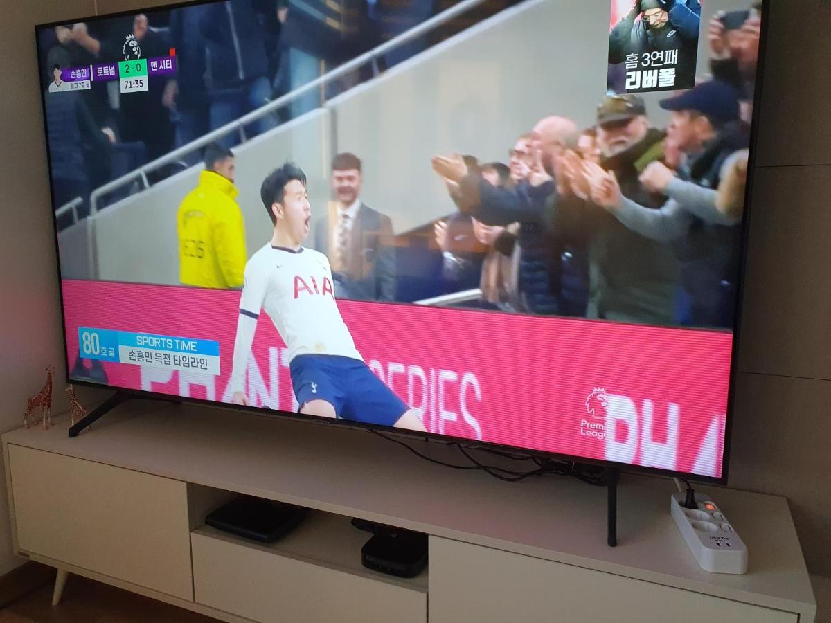Y Stay Tegu Exteriér fotografie
